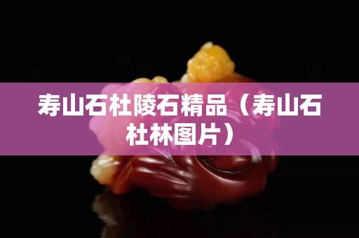 寿山石杜陵石精品（寿山石杜林图片）
