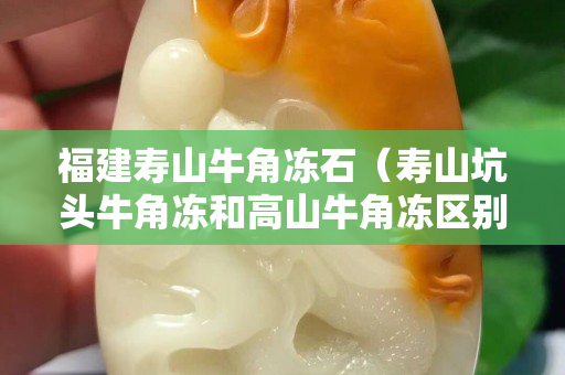 福建寿山牛角冻石（寿山坑头牛角冻和高山牛角冻区别特征）