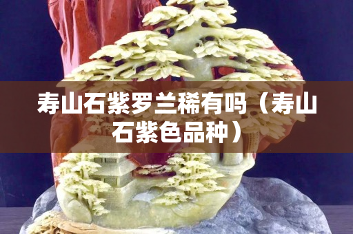 寿山石紫罗兰稀有吗（寿山石紫色品种）