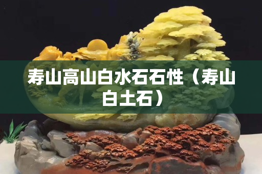 寿山高山白水石石性（寿山白土石）