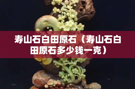 寿山石白田原石（寿山石白田原石多少钱一克）