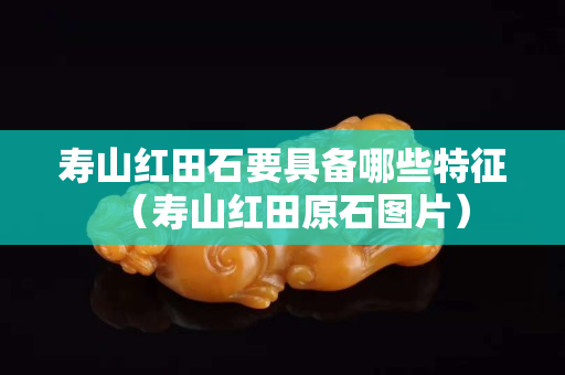 寿山红田石要具备哪些特征（寿山红田原石图片）