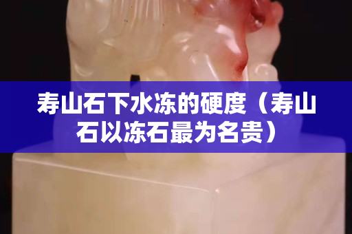 寿山石下水冻的硬度（寿山石以冻石最为名贵）