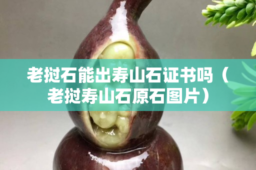 老挝石能出寿山石证书吗（老挝寿山石原石图片）