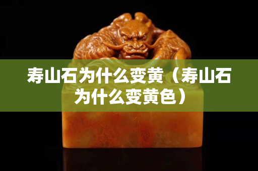 寿山石为什么变黄（寿山石为什么变黄色）