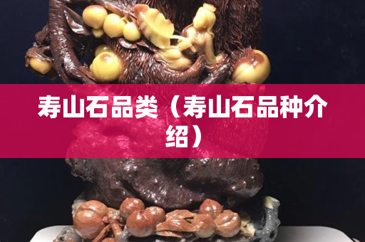 寿山石品类（寿山石品种介绍）