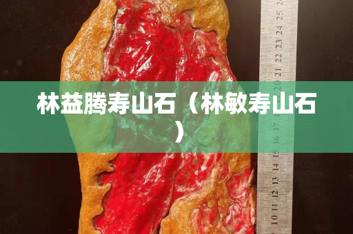 林益腾寿山石（林敏寿山石）