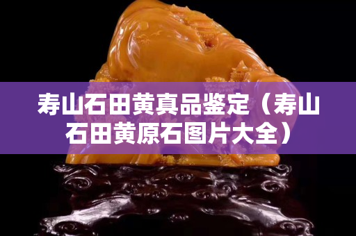 寿山石田黄真品鉴定（寿山石田黄原石图片大全）
