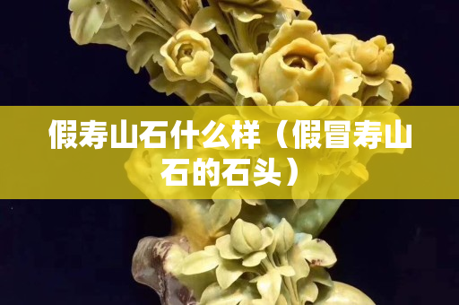 假寿山石什么样（假冒寿山石的石头）