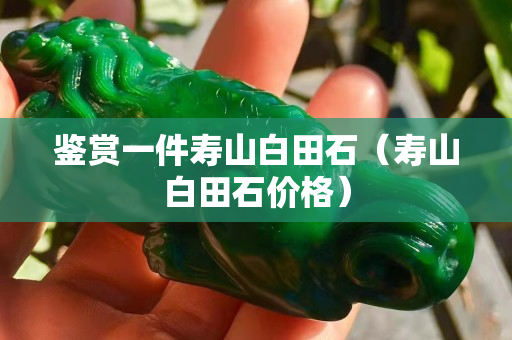 鉴赏一件寿山白田石（寿山白田石价格）