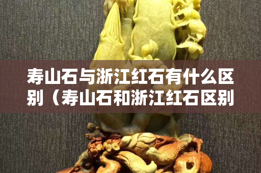 寿山石与浙江红石有什么区别（寿山石和浙江红石区别）
