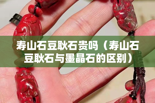 寿山石豆耿石贵吗（寿山石豆耿石与墨晶石的区别）