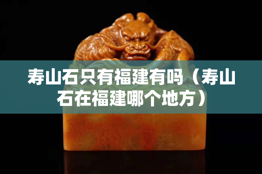 寿山石只有福建有吗（寿山石在福建哪个地方）