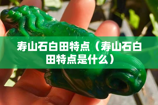 寿山石白田特点（寿山石白田特点是什么）