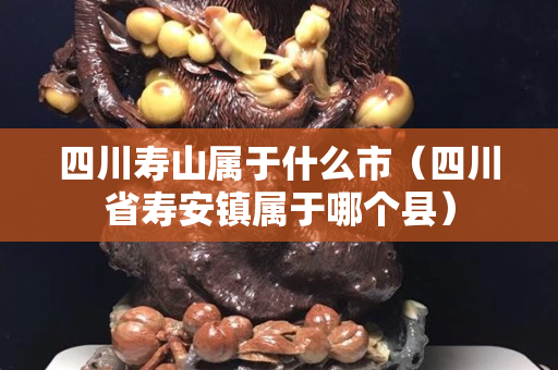 四川寿山属于什么市（四川省寿安镇属于哪个县）