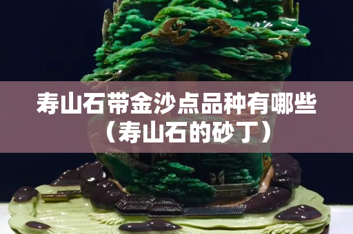 寿山石带金沙点品种有哪些（寿山石的砂丁）