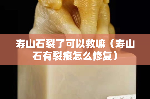 寿山石裂了可以救嘛（寿山石有裂痕怎么修复）
