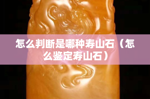 怎么判断是哪种寿山石（怎么鉴定寿山石）