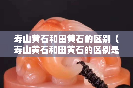 寿山黄石和田黄石的区别（寿山黄石和田黄石的区别是什么）
