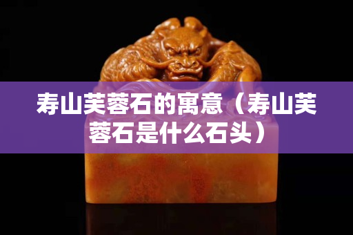 寿山芙蓉石的寓意（寿山芙蓉石是什么石头）