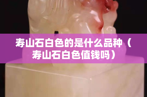 寿山石白色的是什么品种（寿山石白色值钱吗）