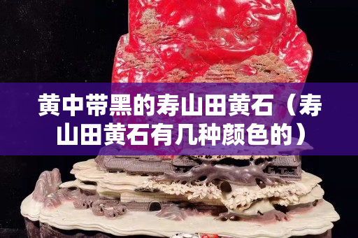 黄中带黑的寿山田黄石（寿山田黄石有几种颜色的）