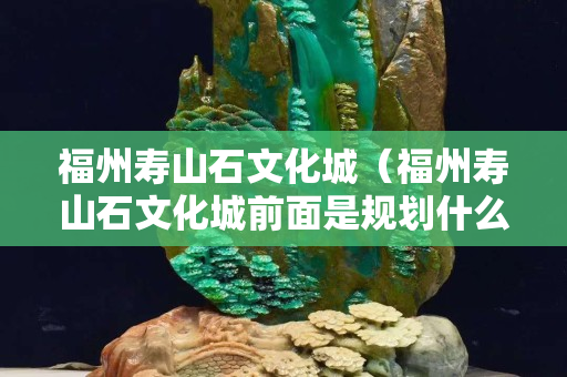 福州寿山石文化城（福州寿山石文化城前面是规划什么地方）
