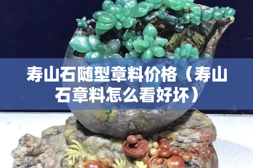 寿山石随型章料价格（寿山石章料怎么看好坏）