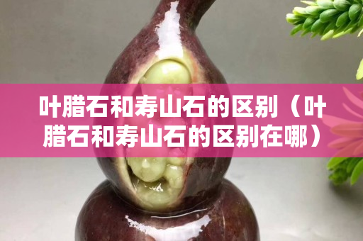 叶腊石和寿山石的区别（叶腊石和寿山石的区别在哪）
