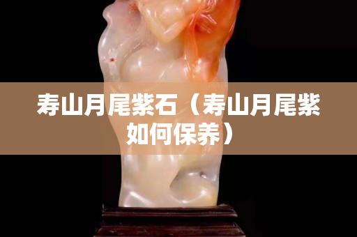 寿山月尾紫石（寿山月尾紫如何保养）