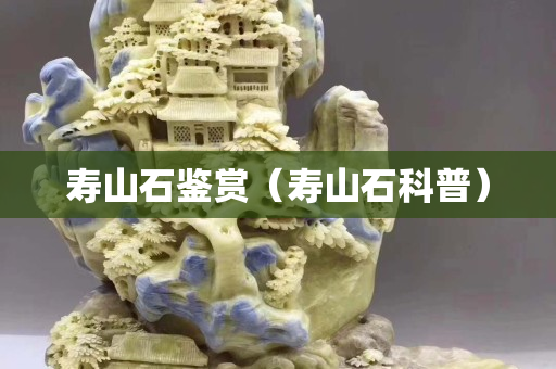 寿山石鉴赏（寿山石科普）