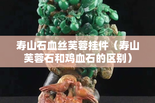 寿山石血丝芙蓉挂件（寿山芙蓉石和鸡血石的区别）