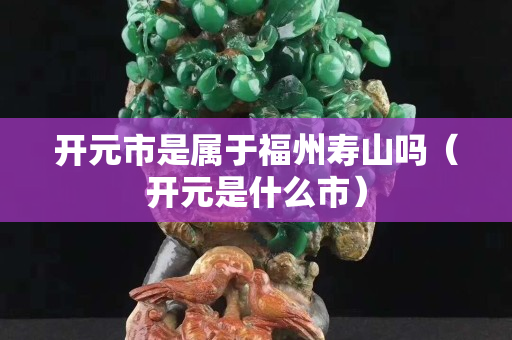 开元市是属于福州寿山吗（开元是什么市）