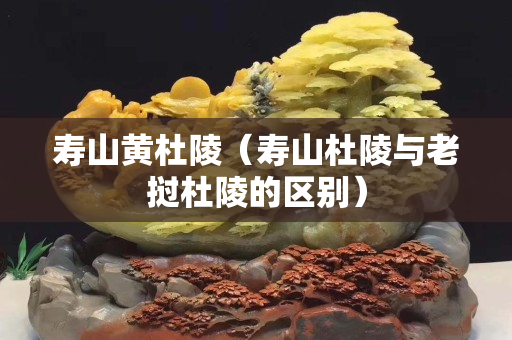 寿山黄杜陵（寿山杜陵与老挝杜陵的区别）