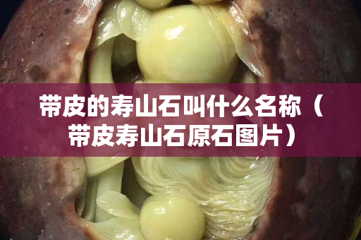 带皮的寿山石叫什么名称（带皮寿山石原石图片）
