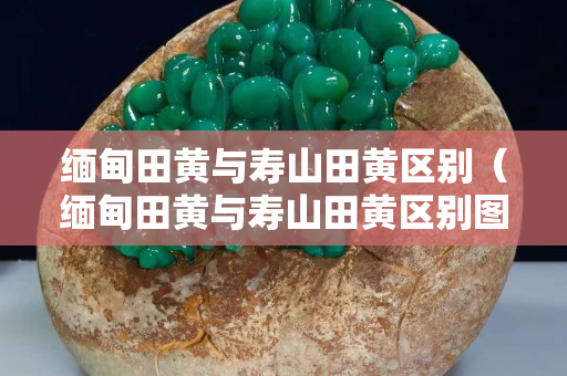 缅甸田黄与寿山田黄区别（缅甸田黄与寿山田黄区别图片）