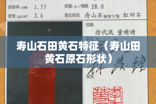 寿山石田黄石特征（寿山田黄石原石形状）