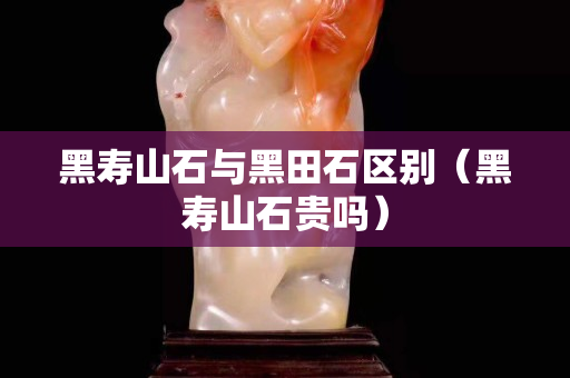 黑寿山石与黑田石区别（黑寿山石贵吗）
