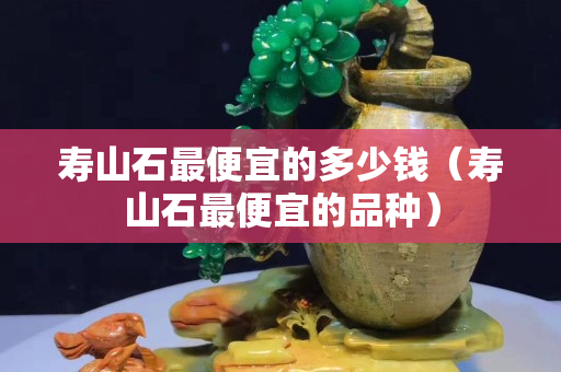 寿山石最便宜的多少钱（寿山石最便宜的品种）