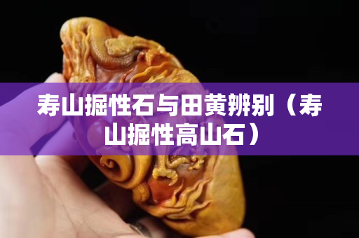 寿山掘性石与田黄辨别（寿山掘性高山石）