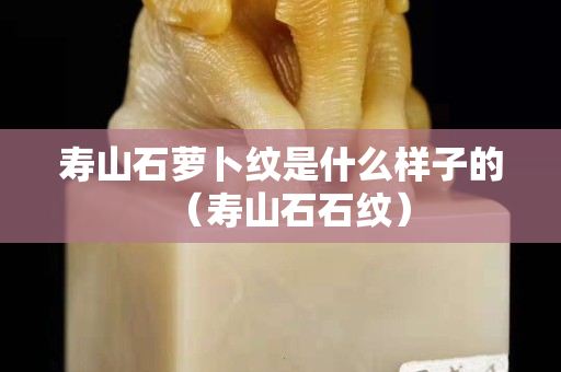 寿山石萝卜纹是什么样子的（寿山石石纹）