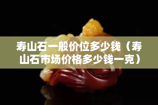 寿山石一般价位多少钱（寿山石市场价格多少钱一克）