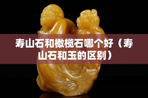 寿山石和橄榄石哪个好（寿山石和玉的区别）