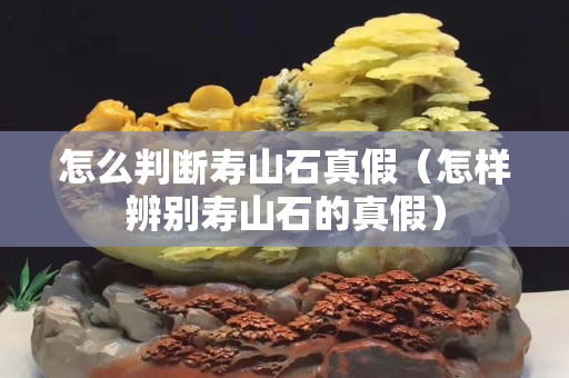 怎么判断寿山石真假（怎样辨别寿山石的真假）
