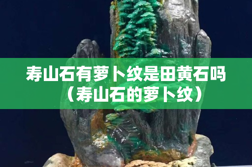 寿山石有萝卜纹是田黄石吗（寿山石的萝卜纹）
