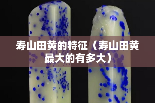 寿山田黄的特征（寿山田黄最大的有多大）