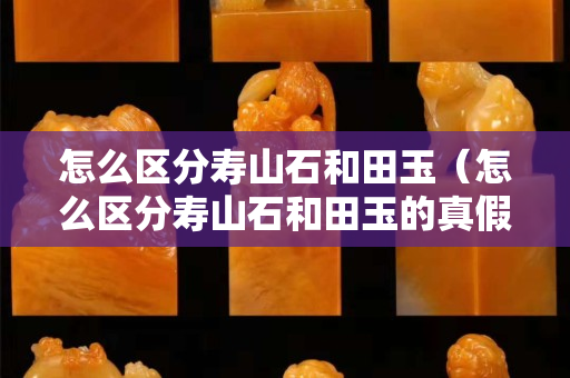 怎么区分寿山石和田玉（怎么区分寿山石和田玉的真假）