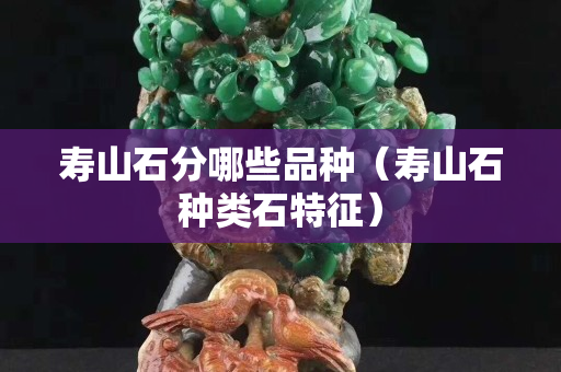 寿山石分哪些品种（寿山石种类石特征）