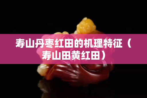 寿山丹枣红田的机理特征（寿山田黄红田）