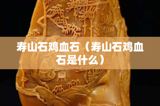 寿山石鸡血石（寿山石鸡血石是什么）